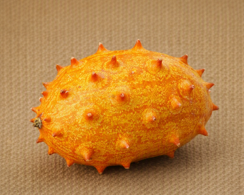 African Horned Cucumber