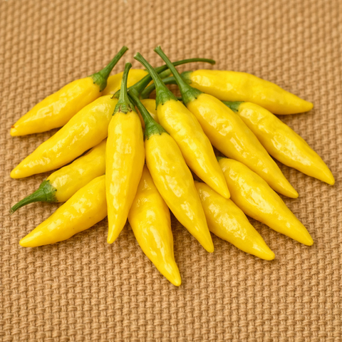 Aji Lemon Chilli