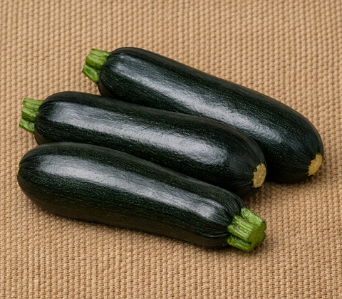 Black Beauty Zucchini