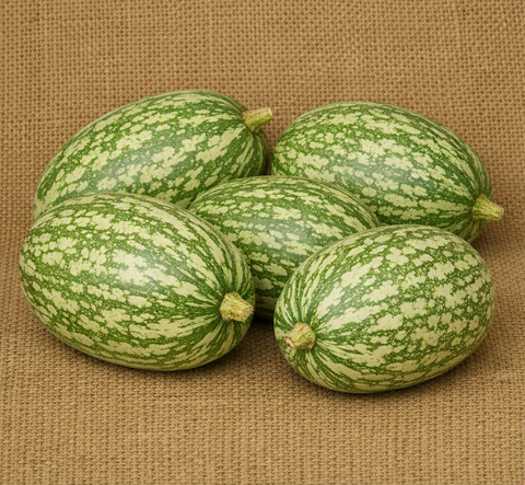 Chilacayote Squash