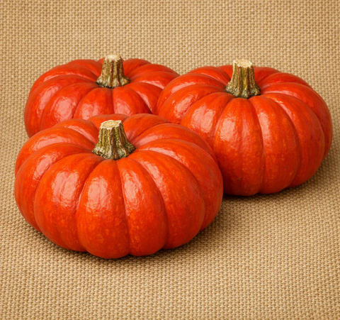 Cinderella Rouge Pumpkin
