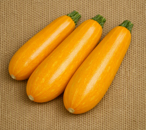 Golden Harvest Zucchini