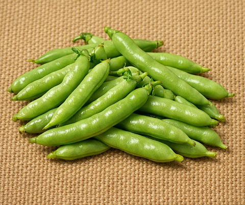 Idelight Bean
