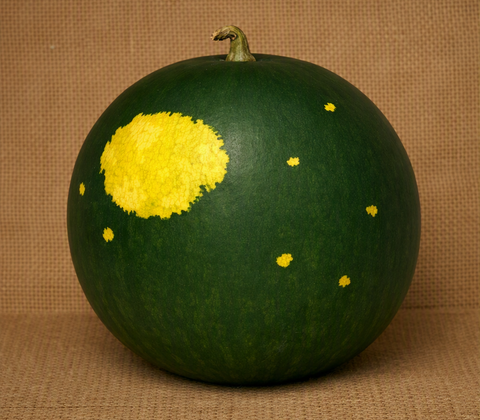 Moon and Stars Watermelon