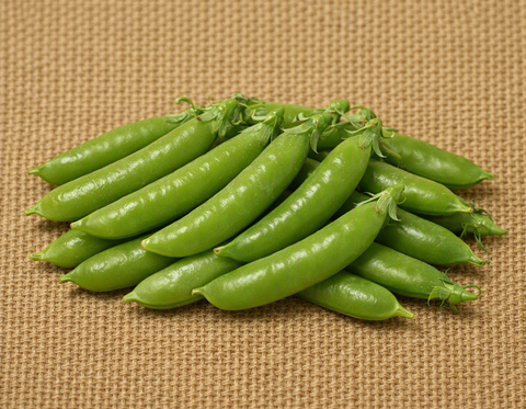 Novella Leafless Pea (Shelling)