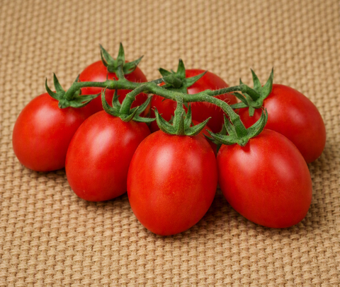 Principe Borghese Tomato