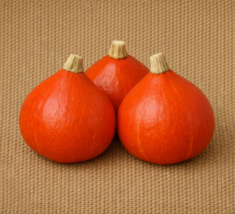 Red Kuri Squash