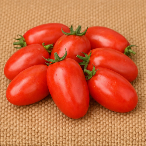 Roma Tomato