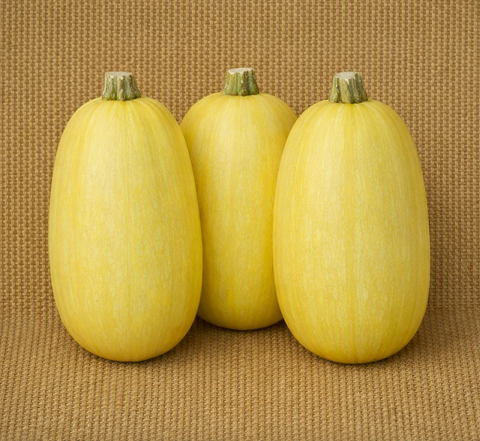 Spaghetti Squash