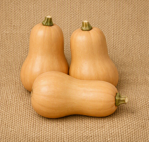 Waltham Butternut Pumpkin