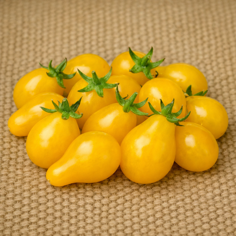 Yellow Pear Tomato