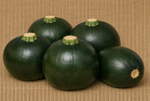 Gem Squash