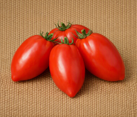 Amish Paste Tomato
