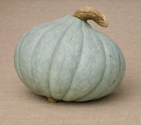 Baby Blue Pumpkin