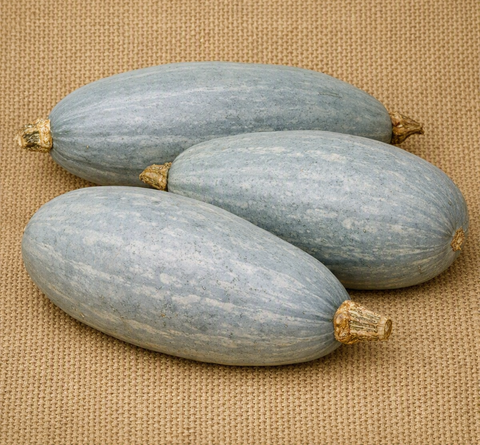 Blue Banana Pumpkin