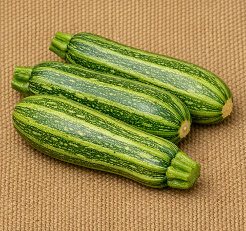 Costata Romanesco Zucchini