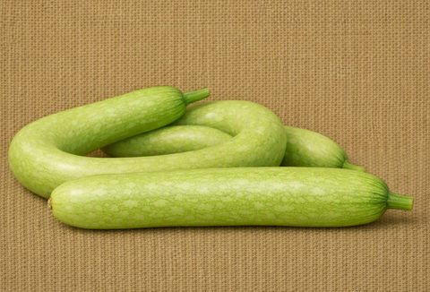 Cucuzza Squash