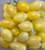 Barry's Crazy Cherry Tomato - Seeds