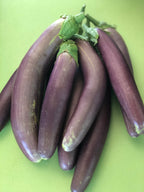 Long Purple Eggplant - Seeds