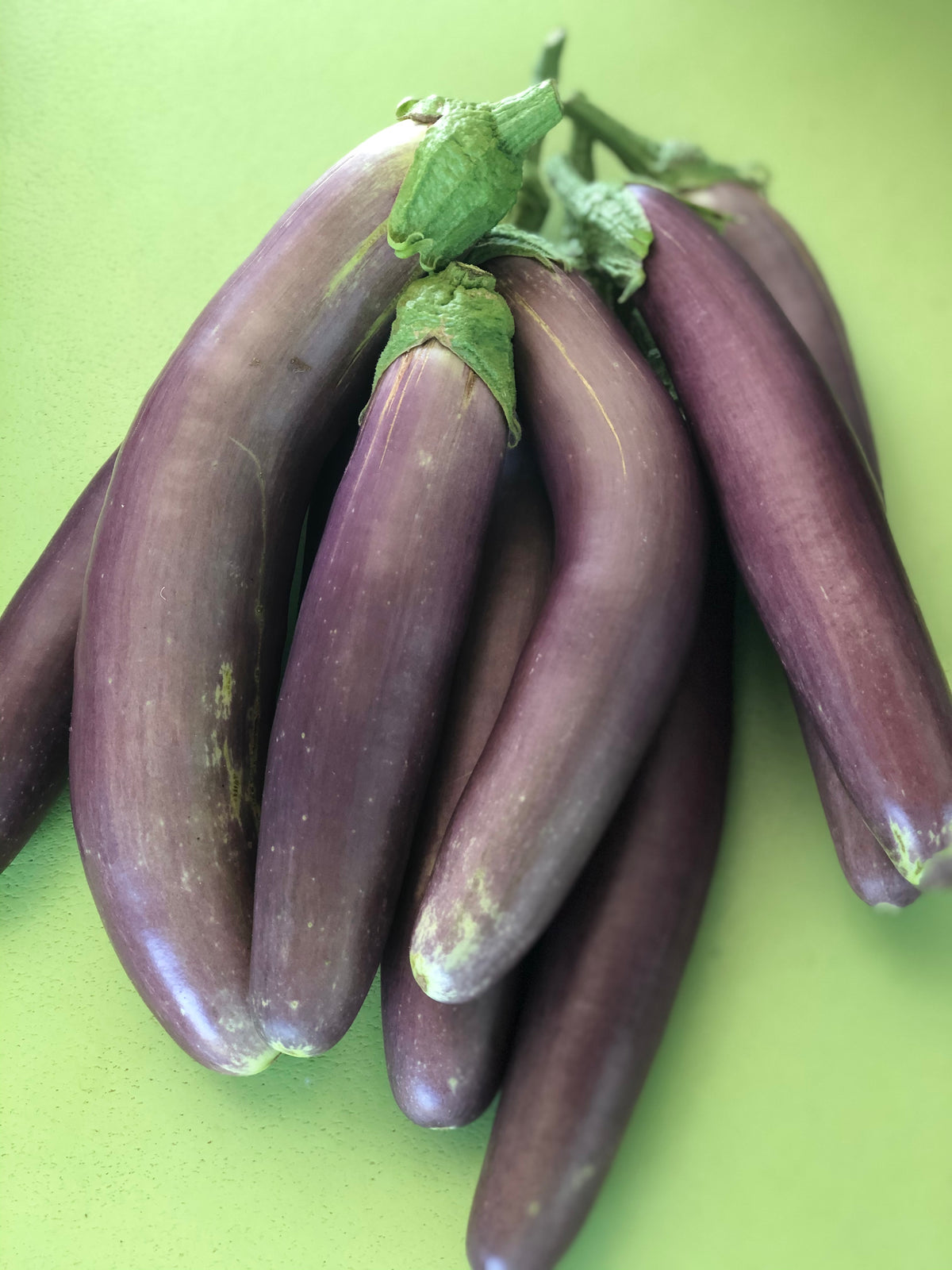 Long Purple Eggplant - Seeds