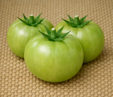 Evergreen Tomato