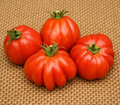 Granny's Throwing Tomato - Seeds