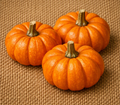 Jack Be Little Pumpkin - Seeds