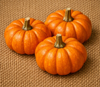 Jack Be Little Pumpkin - Seeds