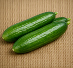Lebanese Cucumber - Seeds