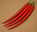 Long Joe's Cayenne Chilli - Seeds