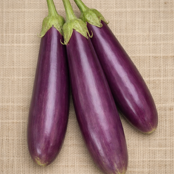 Long Purple Eggplant - Seeds