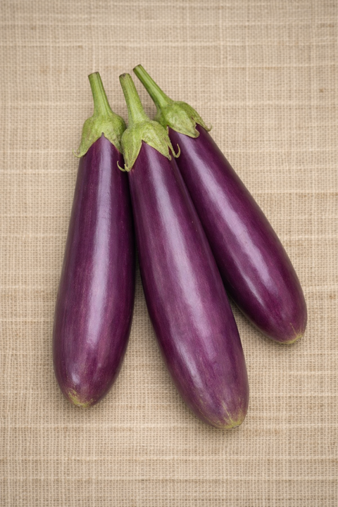 Long Purple Eggplant