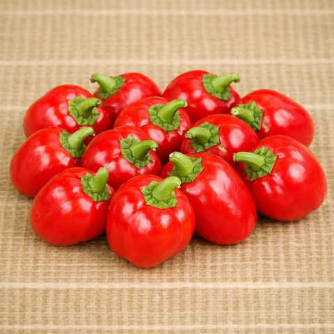 Mini Sweet Red Capsicum