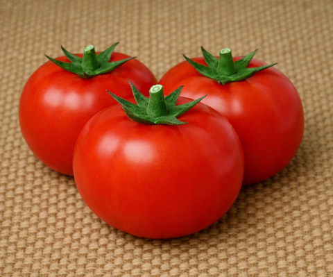 Oregon Spring Tomato
