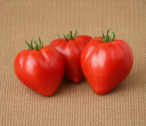 Oxheart Tomato (Red)