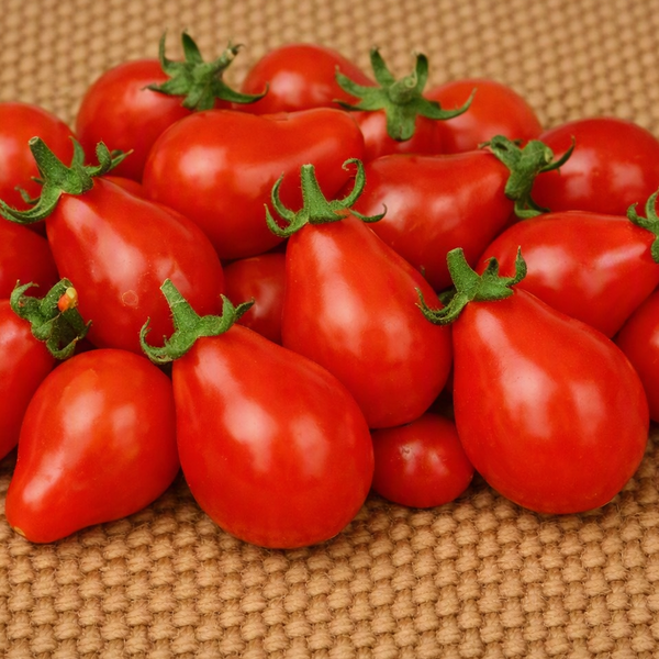 Red Fig Cherry Tomato - Seeds