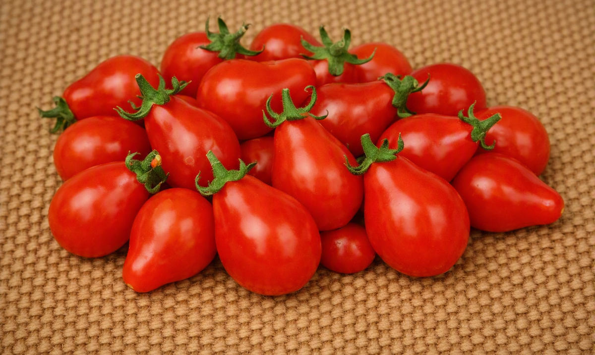 Red Fig Cherry Tomato - Seeds