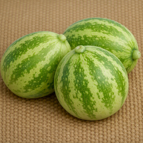 Richmond River Green Apple Cucumber - Seeds