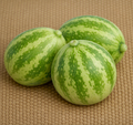 Richmond River Green Apple Cucumber - Seeds