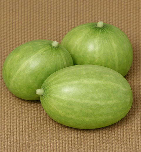 Richmond River Green Apple Cucumber