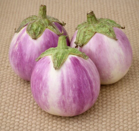 Rosa Bianca Eggplant