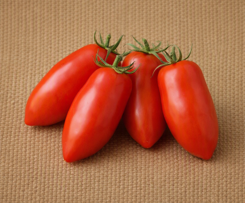 San Marzano Tomato