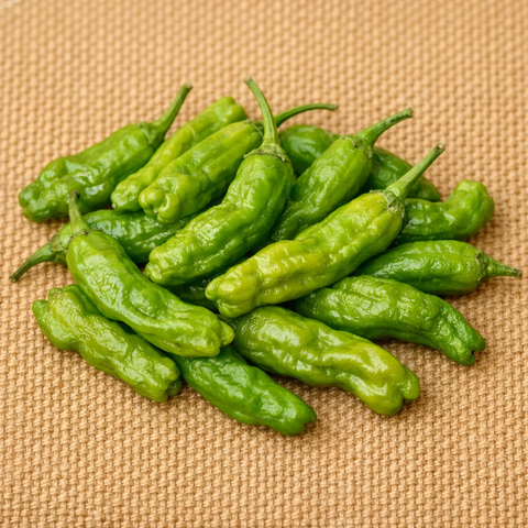 Shishito Chilli