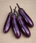 Slim Jim Eggplant - Seeds