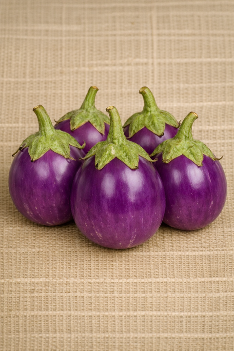 Thai Purple Ball Eggplant