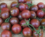 Black Cherry Tomato - Seeds