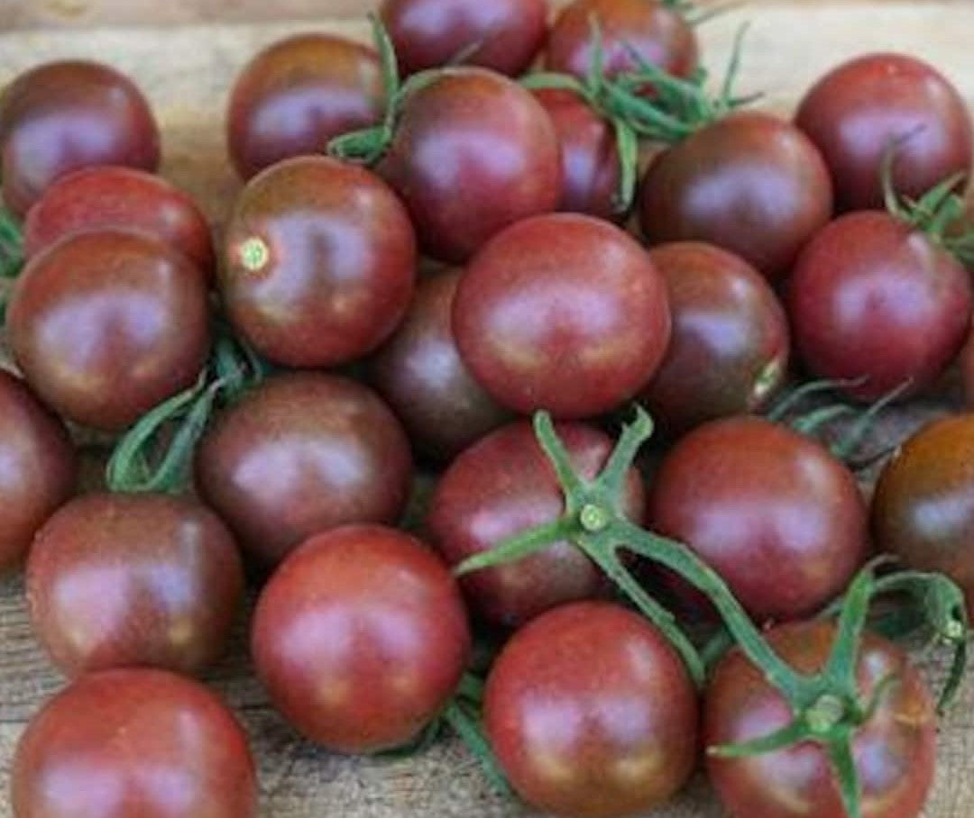 Black Cherry Tomato - Seeds