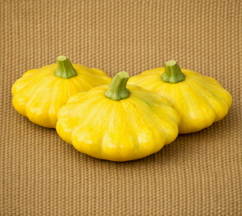 Yellow Bush Scallop Squash (Button)