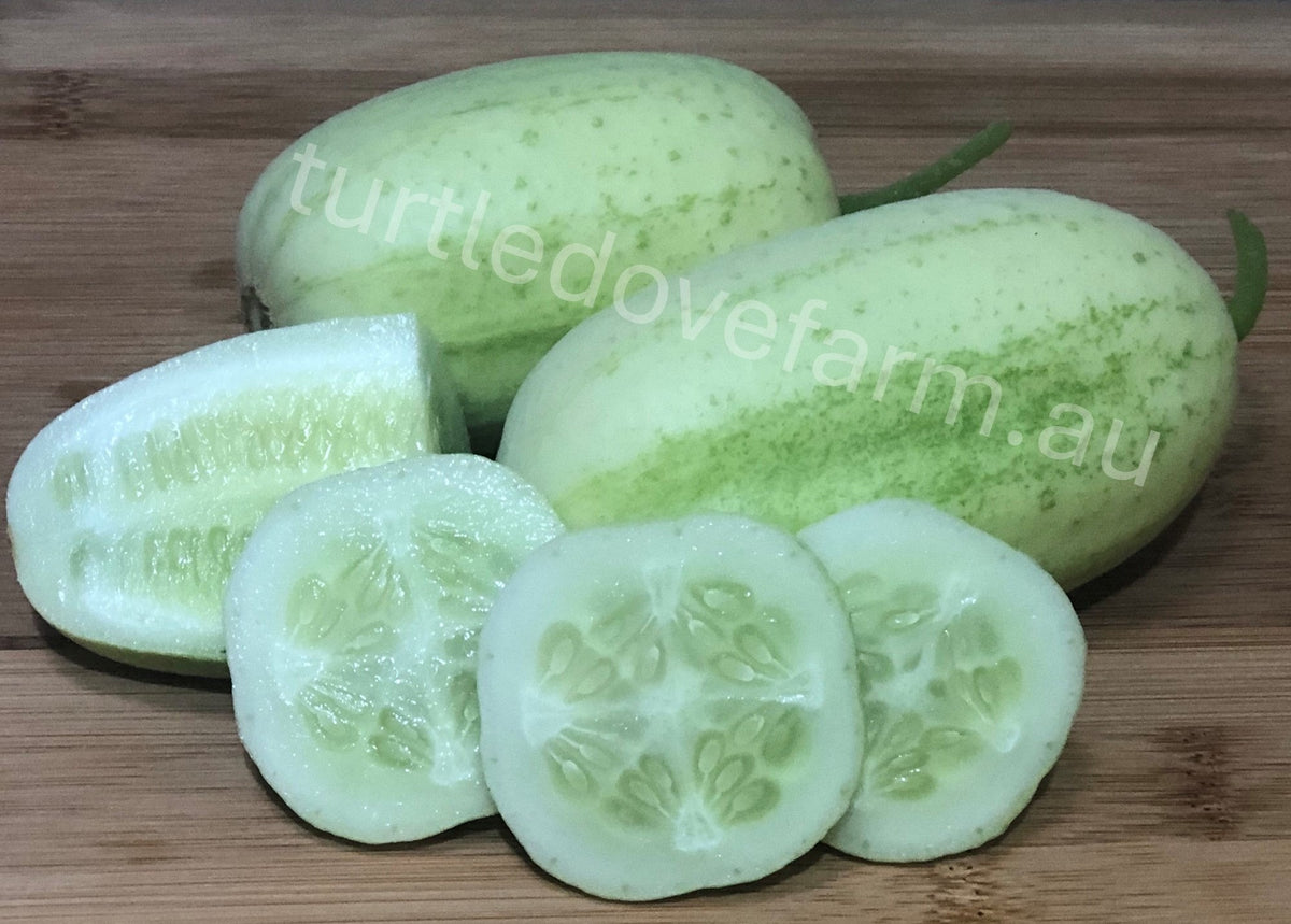 Crystal Apple Cucumber -  Seeds