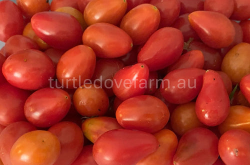 Cherry Roma Tomato - Seeds